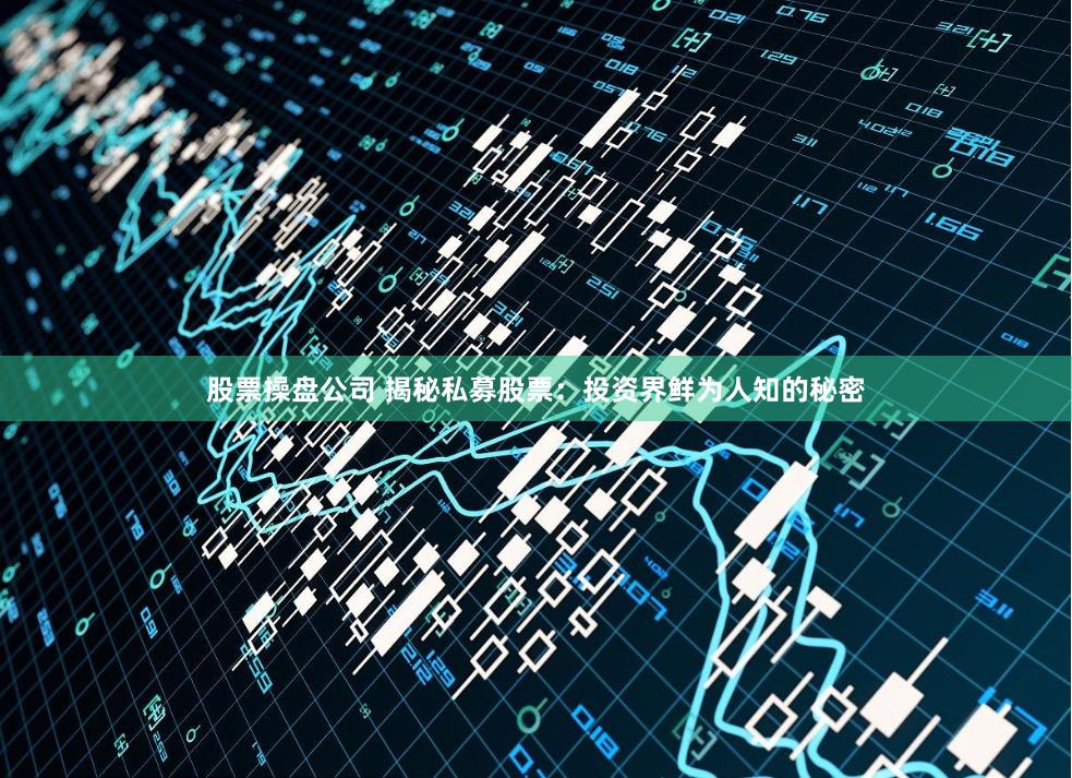 股票操盘公司 揭秘私募股票：投资界鲜为人知的秘密