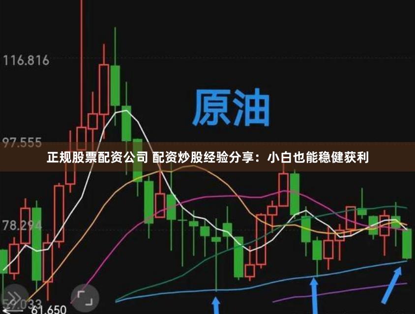 正规股票配资公司 配资炒股经验分享：小白也能稳健获利
